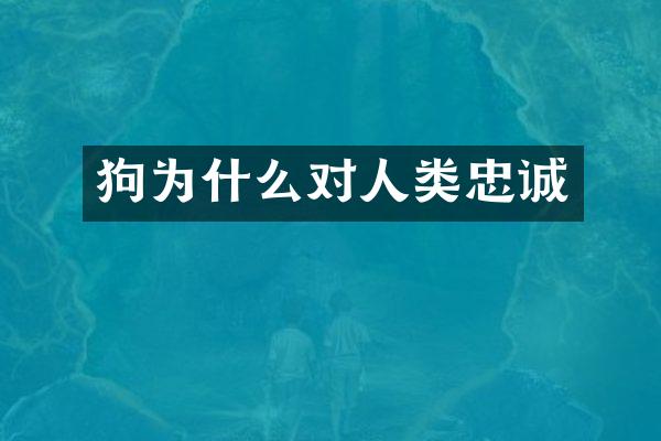 狗为什么对人类忠诚