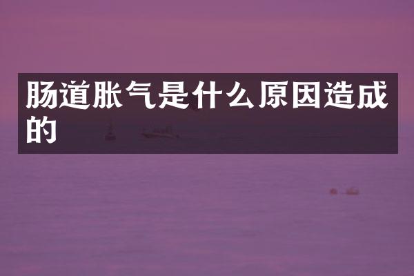 肠道胀气是什么原因造成的