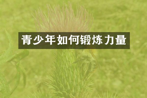 青少年如何锻炼力量