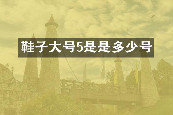 鞋子大号5是是多少号