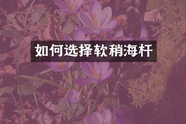 如何选择软稍海杆