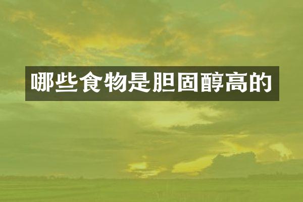 哪些食物是胆固醇高的