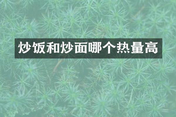 炒饭和炒面哪个热量高
