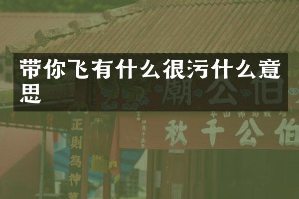 带你飞有什么什么意思
