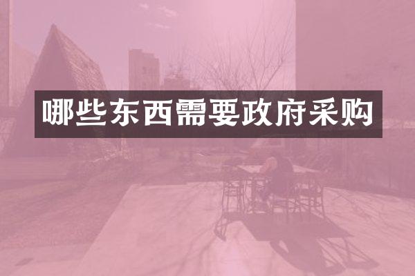 哪些东西需要政府采购