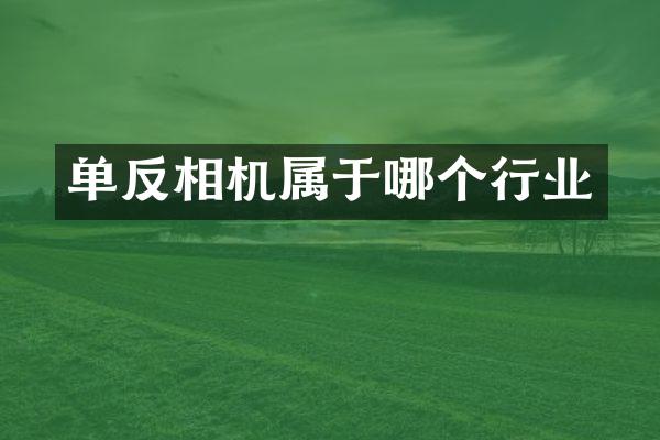 单反相机属于哪个行业