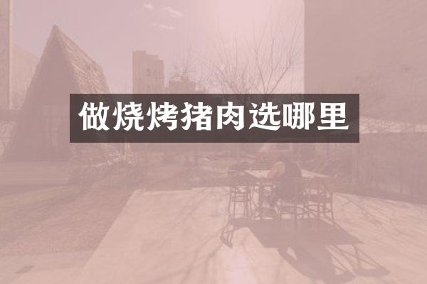 做烧烤猪肉选哪里