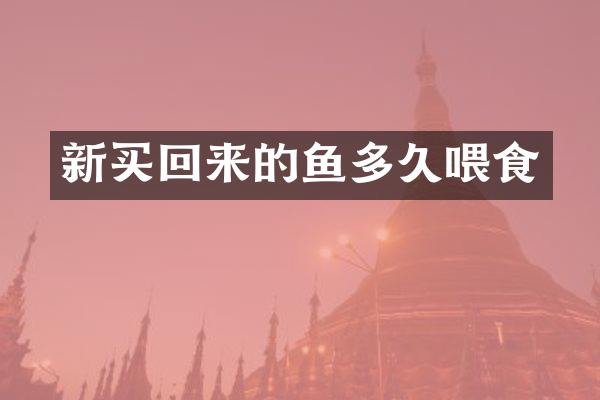 新买回来的鱼多久喂食
