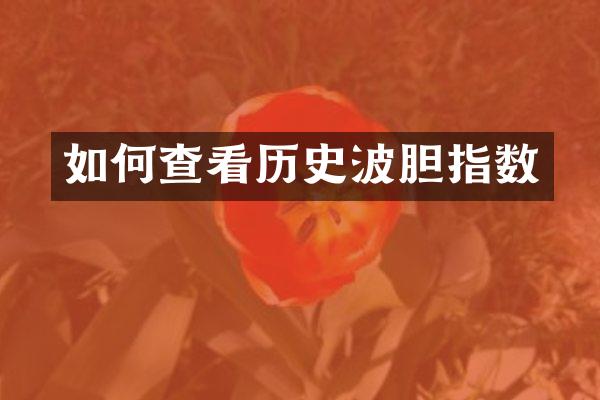 如何查看历史波胆指数