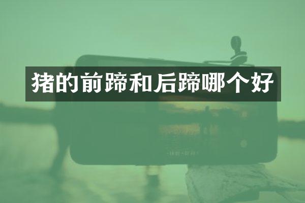 猪的前蹄和后蹄哪个好