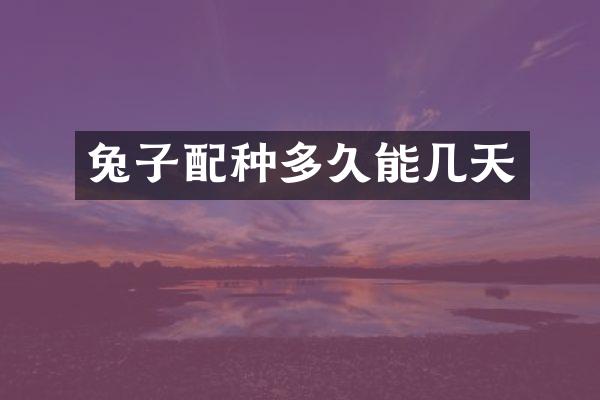 兔子配种多久能几天