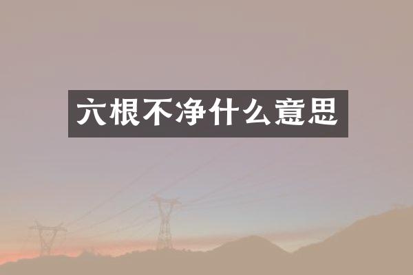 六根不净什么意思