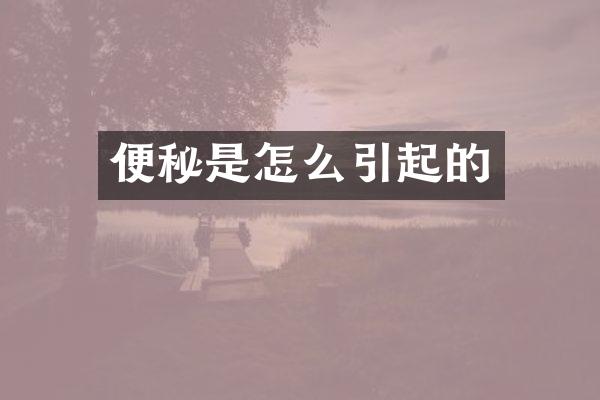 便秘是怎么引起的