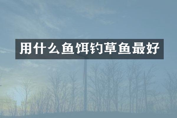 用什么鱼饵钓草鱼最好