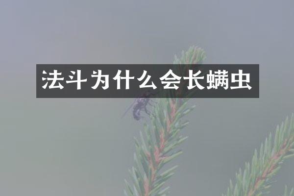 法斗为什么会长螨虫