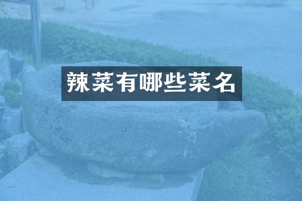 辣菜有哪些菜名