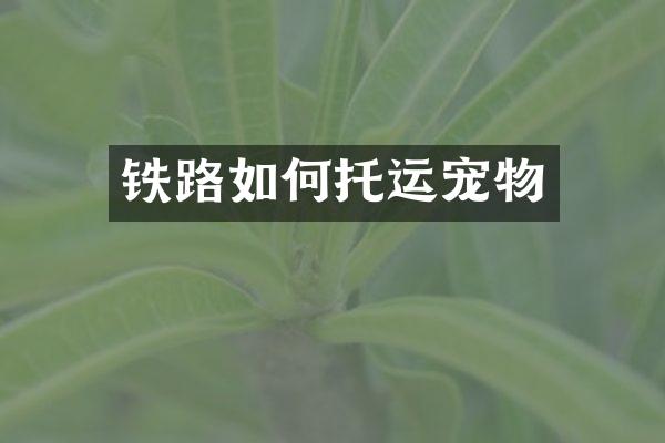 铁路如何托运宠物