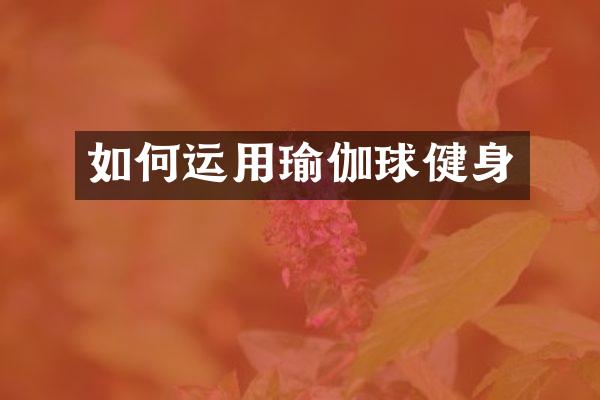如何运用瑜伽球健身