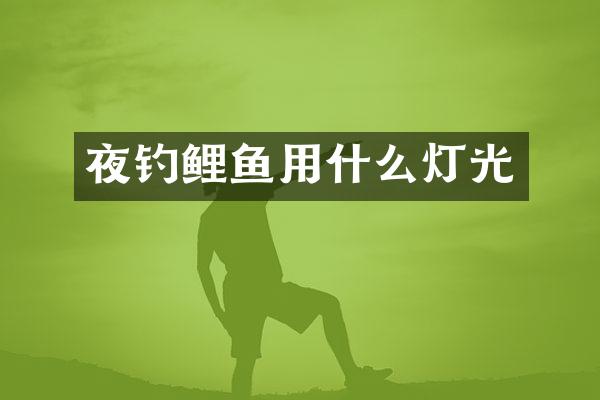 夜钓鲤鱼用什么灯光