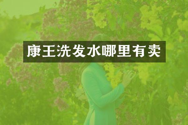 康王洗发水哪里有卖