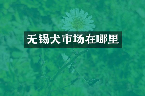 无锡犬市场在哪里