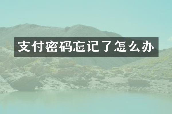 支付密码忘记了怎么办
