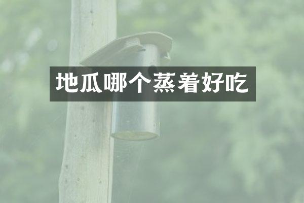 地瓜哪个蒸着好吃