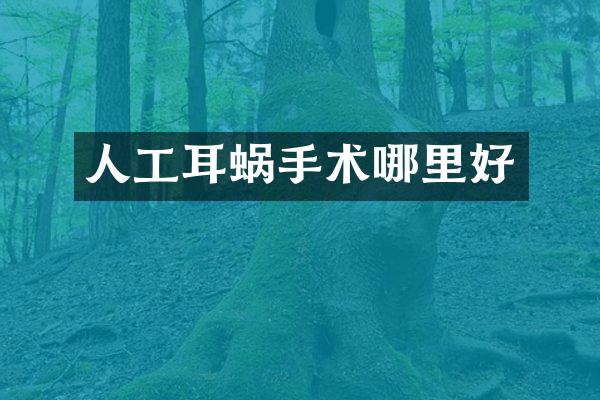 人工耳蜗手术哪里好