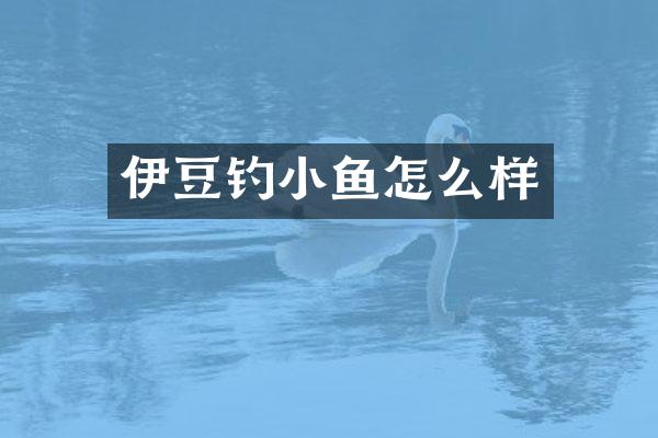 伊豆钓小鱼怎么样
