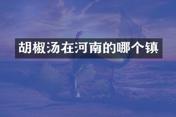 胡椒汤在河南的哪个镇