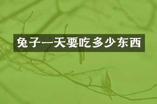 兔子一天要吃多少东西