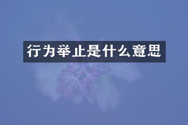 行为举止是什么意思