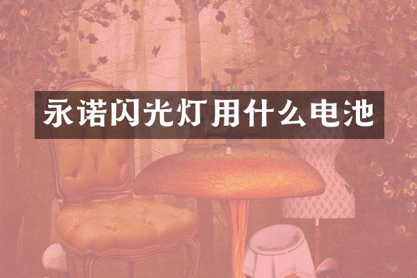 永诺闪光灯用什么电池