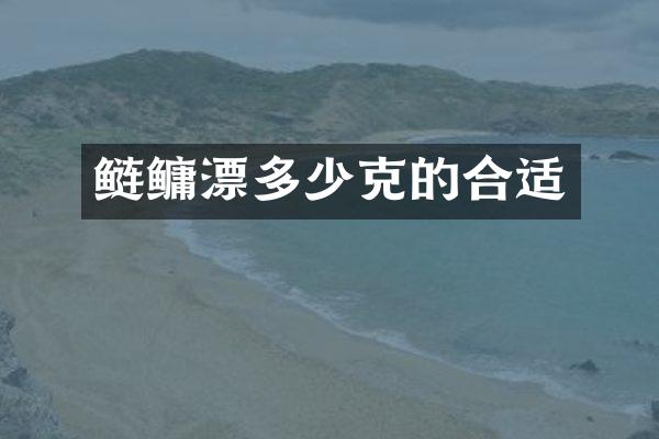 鲢鳙漂多少克的合适