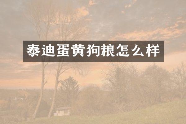 泰迪蛋黄怎么样