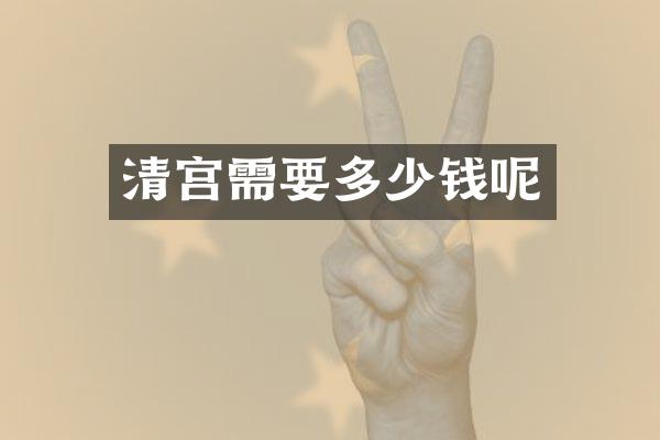 清宫需要多少钱呢