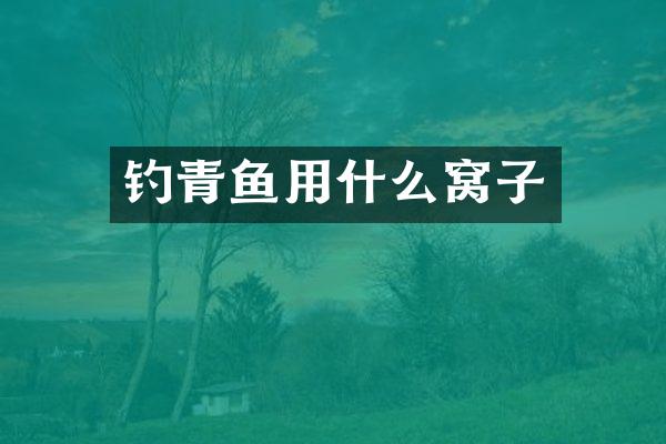 钓青鱼用什么窝子