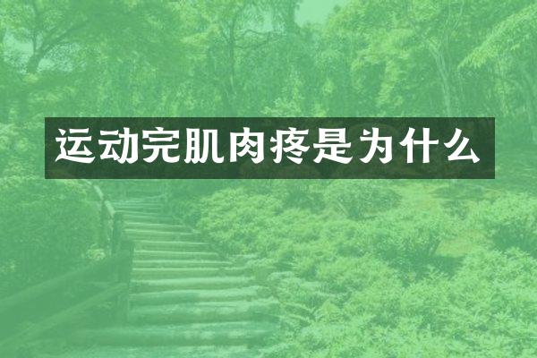 运动完肌肉疼是为什么