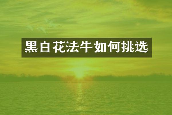 黑白花法牛如何挑选