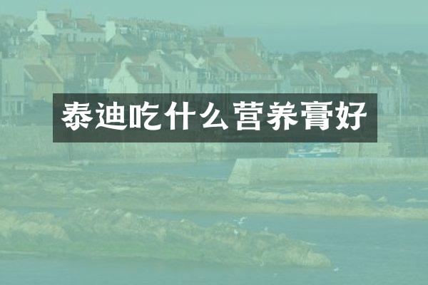 泰迪吃什么营养膏好