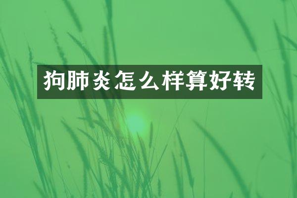 狗肺炎怎么样算好转