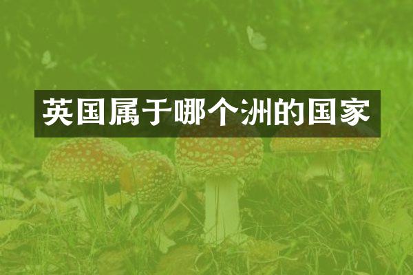 英国属于哪个洲的国家