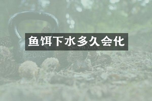 鱼饵下水多久会化