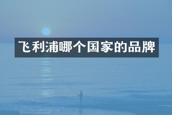 飞利浦哪个国家的品牌