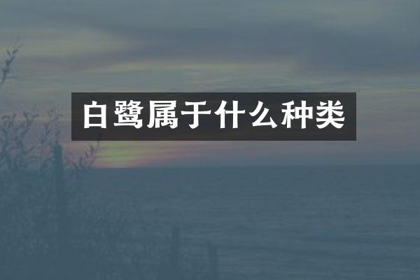白鹭属于什么种类