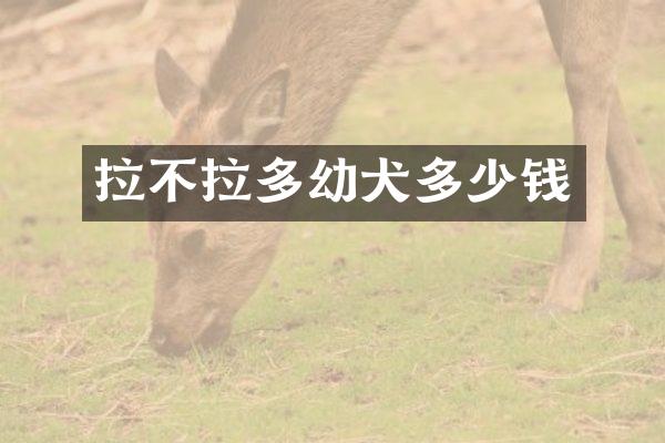 拉不拉多幼犬多少钱