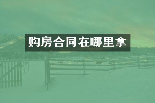 购房合同在哪里拿