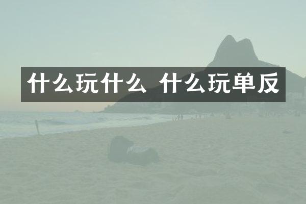 什么玩什么 什么玩单反