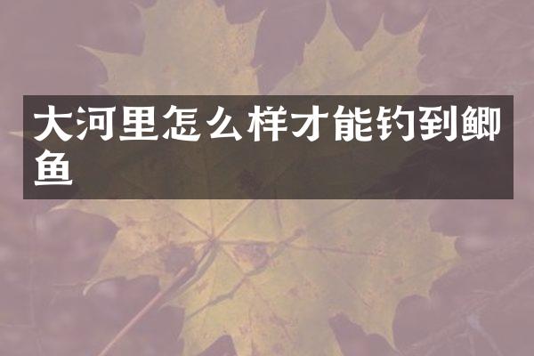 大河里怎么样才能钓到鲫鱼