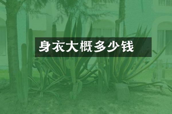 廋身衣大概多少钱